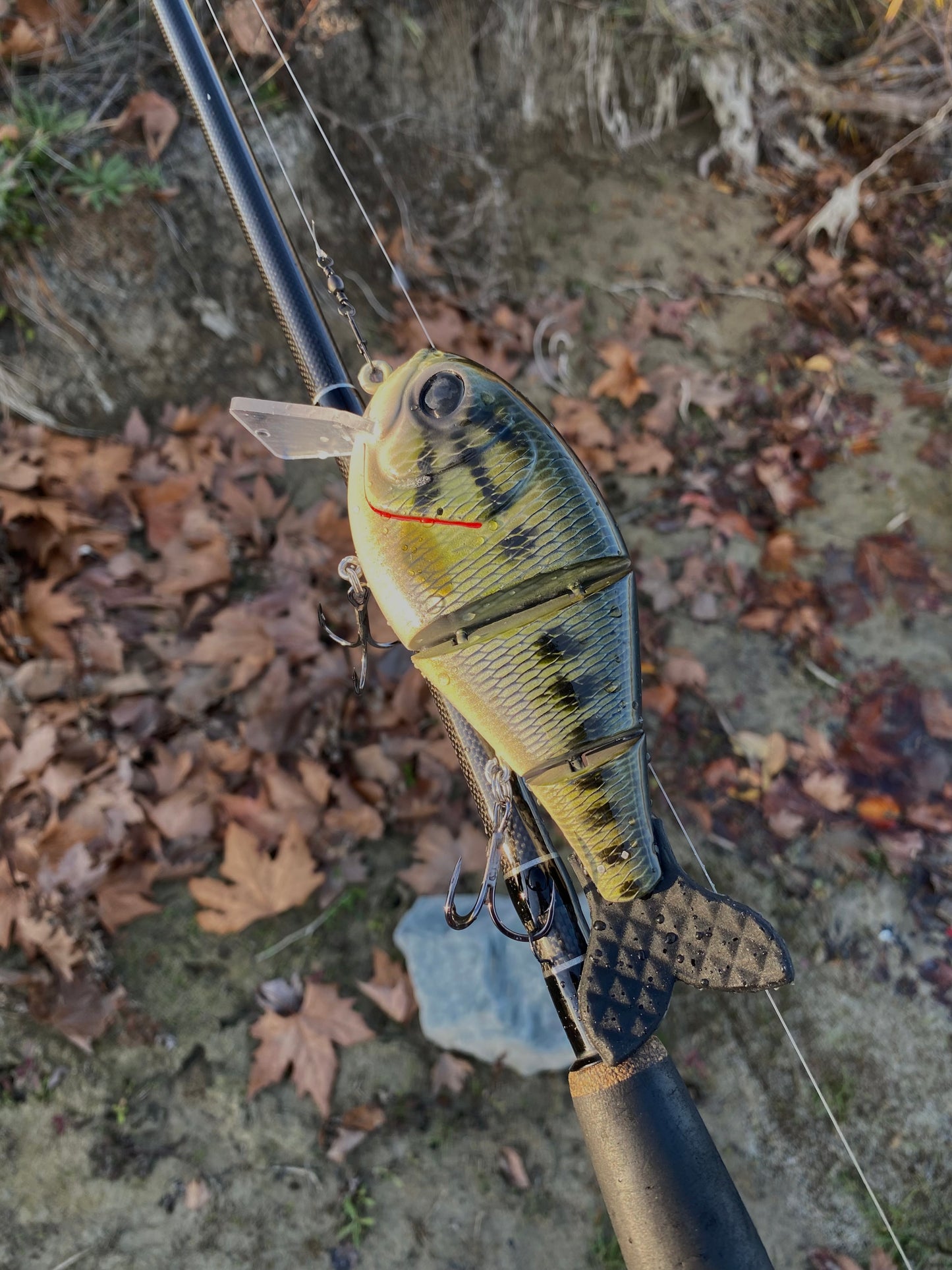 Bass Wake n Crank Swimbait