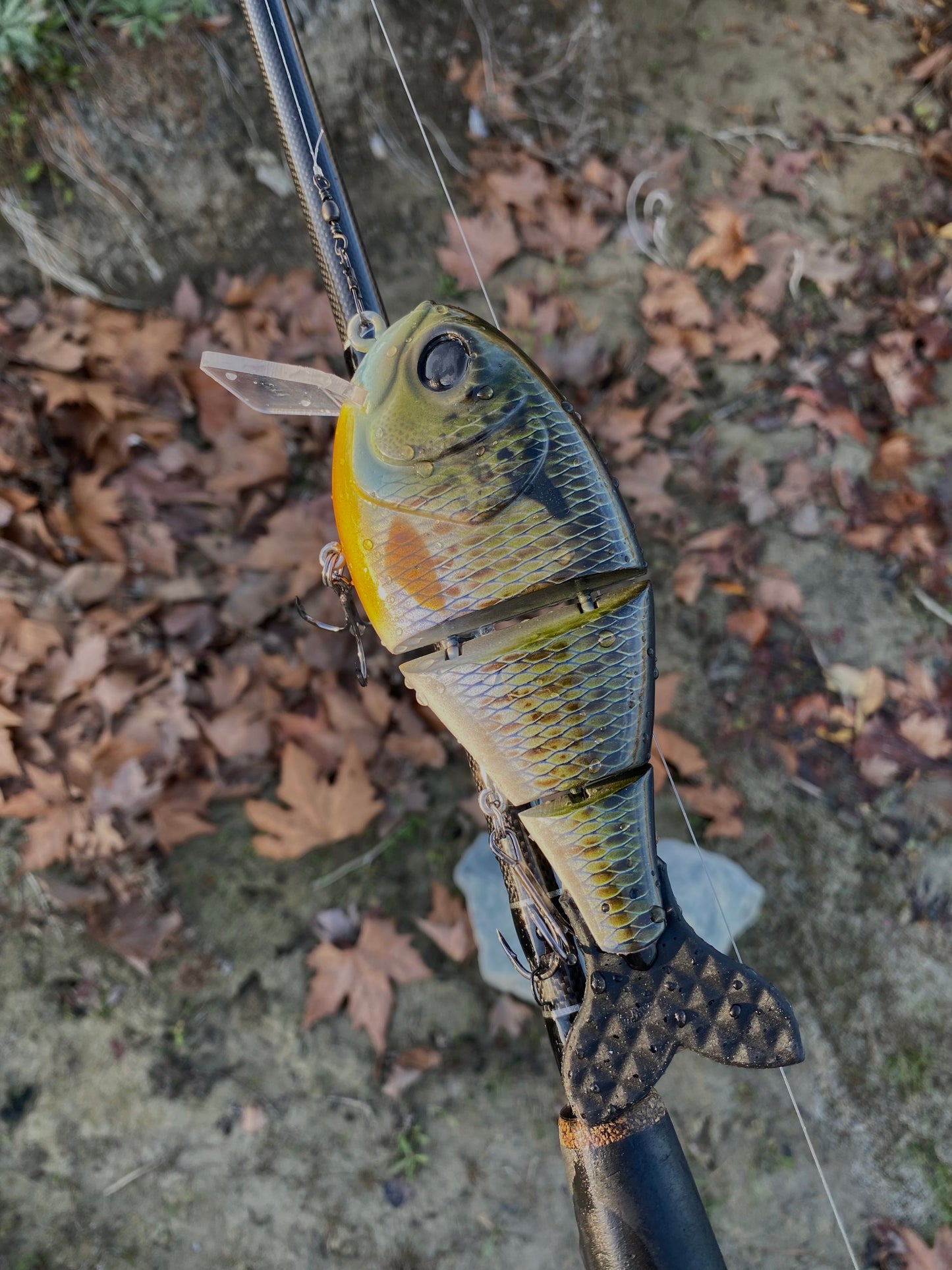 Blue Gill Wake n Crank